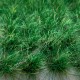 Summer Green Static Grass Tufts EXTRA LARGE Summer Green Static Grass Tufts EXTRA LARGE