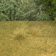 Autumn Static Grass Tufts EXTRA LARGE Autumn Static Grass Tufts EXTRA LARGE