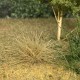 Autumn Static Grass Tufts EXTRA LARGE Autumn Static Grass Tufts EXTRA LARGE
