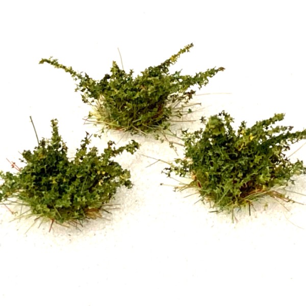 Small Shrubs  GREEN
