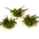 Small Shrubs GREEN Small Shrubs GREEN