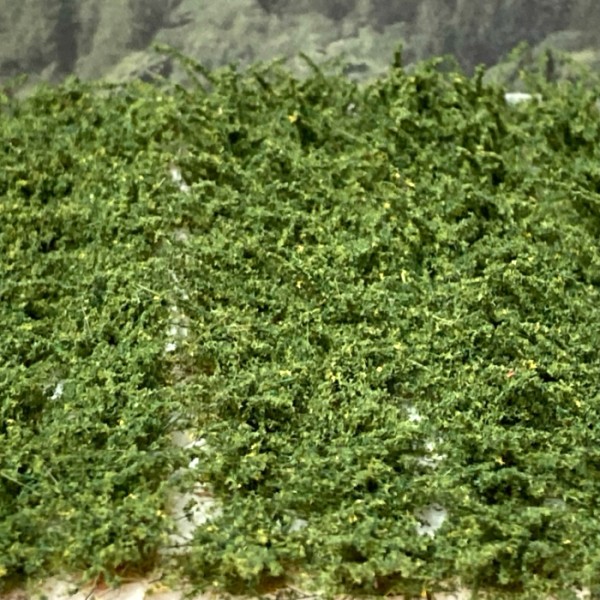 Small Shrubs  GREEN