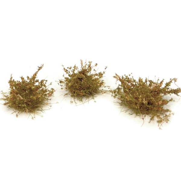 Small Shrub Desert 
