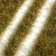 Static Battlefield Grass Strips. Static Battlefield Grass Strips.