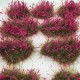 Fireweed Flowering Tufts Fireweed Flowering Tufts