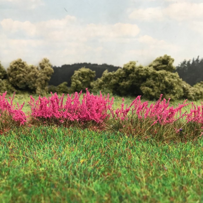 Fireweed Flowering Tufts Fireweed Flowering Tufts