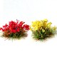 Flowering Garden Shrub Tufts Small Flowering Garden Shrub Tufts Small