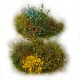 Flower Bed Tufts 'Flowering' Flower Bed Tufts 'Flowering'