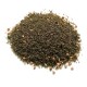 Realistic Woodland Ground Cover By Footpath Scenes Realistic Woodland Ground Cover By Footpath Scenes