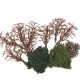 Park Tree Armatures Kit Park Tree Armatures Kit