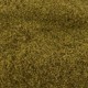 Grass Ground Cover Earth Blend By Footpath Scenes Grass Ground Cover Earth Blend By Footpath Scenes
