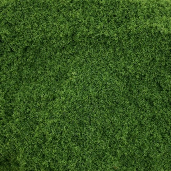 Grass Ground Cover  Lush Grass By Footpath Scenes