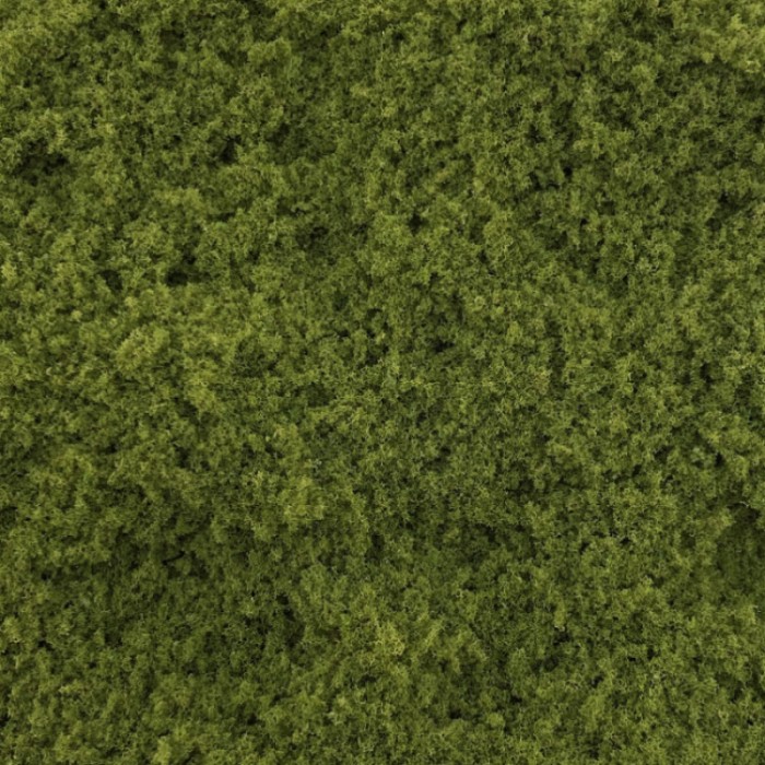 Fine Turf and Foliage Cover Mid Green By Footpath Scenes Fine Turf and Foliage Cover Mid Green By Footpath Scenes