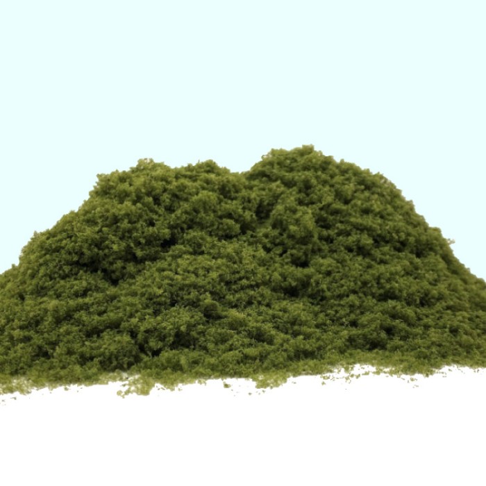 Fine Turf and Foliage Cover Mid Green By Footpath Scenes Fine Turf and Foliage Cover Mid Green By Footpath Scenes