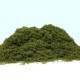 Fine Turf and Foliage Cover Mid Green By Footpath Scenes Fine Turf and Foliage Cover Mid Green By Footpath Scenes