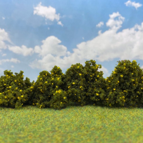 Lump Foliage Yellow Gorse