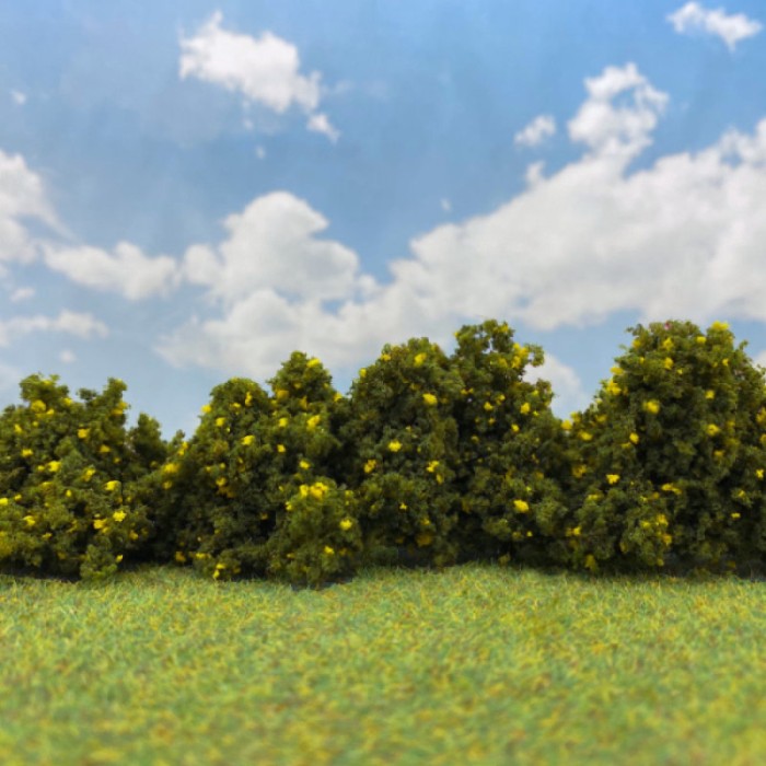 Lump Foliage Yellow Gorse