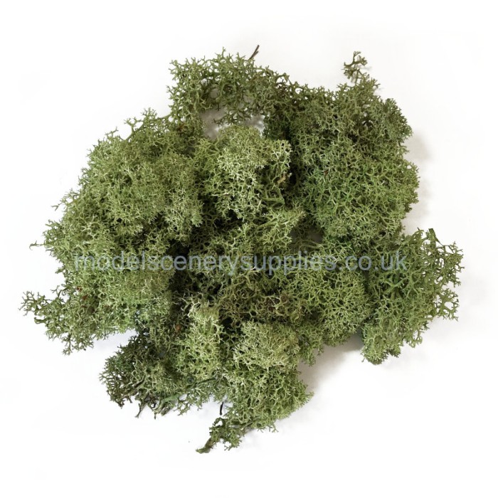 Lichen Light Green 40g