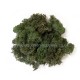 Lichen Dark Green 40g