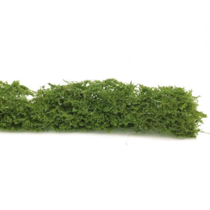 Hedgerow OO Hedgerow OO