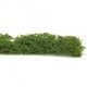 Hedgerow OO Hedgerow OO