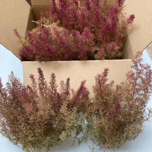 Seafoam Bulk Pack