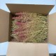 Seafoam Bulk Pack Seafoam Bulk Pack
