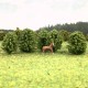 Small Scale Deciduous Trees 26mm tall 10 pack Z gauge Small Scale Deciduous Trees 26mm tall 10 pack Z gauge