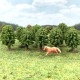 Small Scale Deciduous Trees 26mm tall 10 pack Z gauge Small Scale Deciduous Trees 26mm tall 10 pack Z gauge