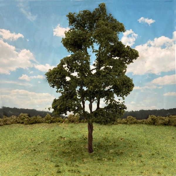 Large Spreading Sycamore 200mm Tall