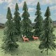Spruce Trees Architectural Pine Trees Spruce Trees Architectural Pine Trees