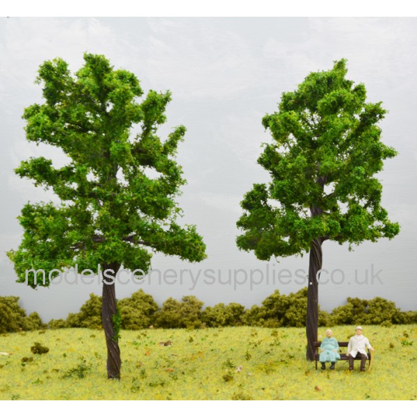 Chestnut Tree, Spring Growth 130mm Tall
