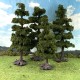 Tall Pine Trees 165 -200mm Tall Pack of 6 Tall Pine Trees 165 -200mm Tall Pack of 6