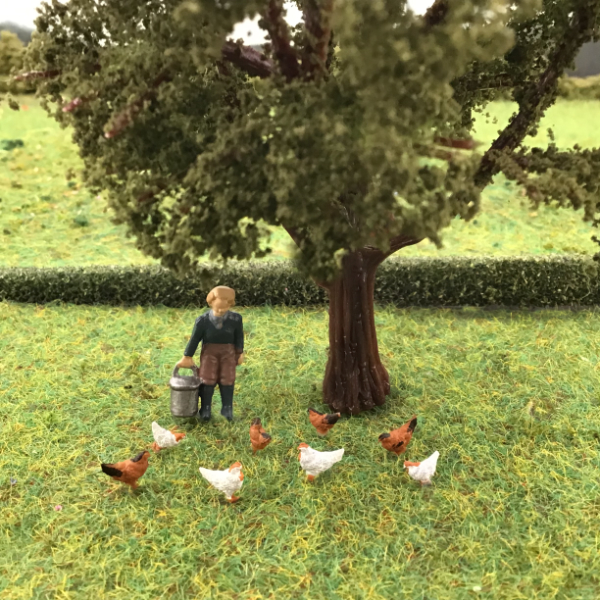 Chickens OO  
