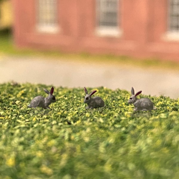 Rabbits  OO  