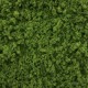 Coarse Turf and Foliage Cover Light Green By Footpath Scenes Coarse Turf and Foliage Cover Light Green By Footpath Scenes
