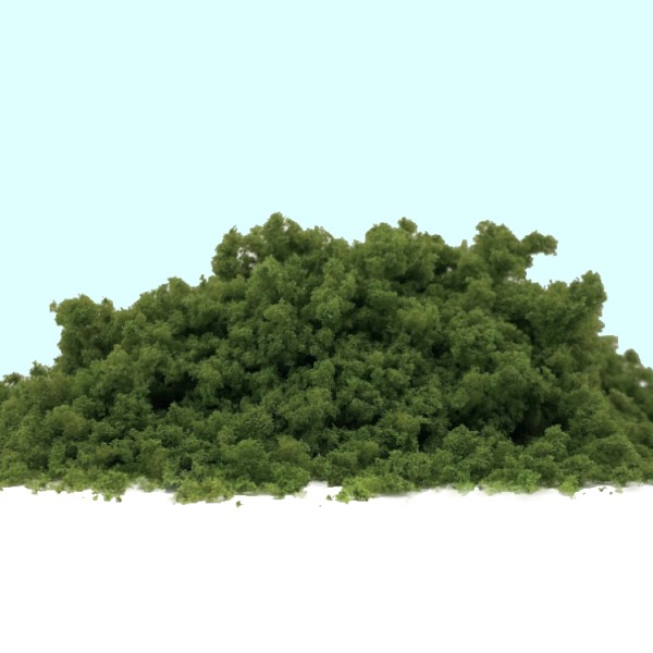 Coarse Turf and Foliage Cover Light Green  By Footpath Scenes