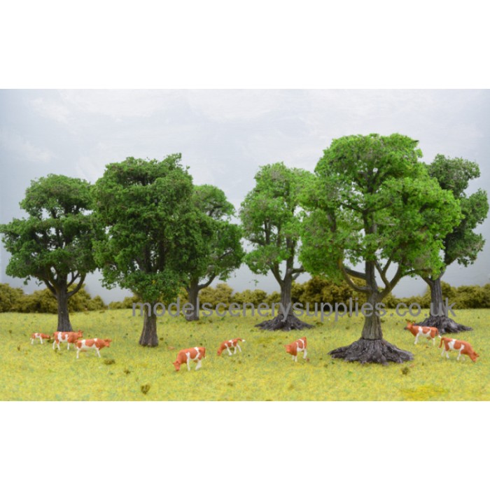 Tree Root Base Tree stump