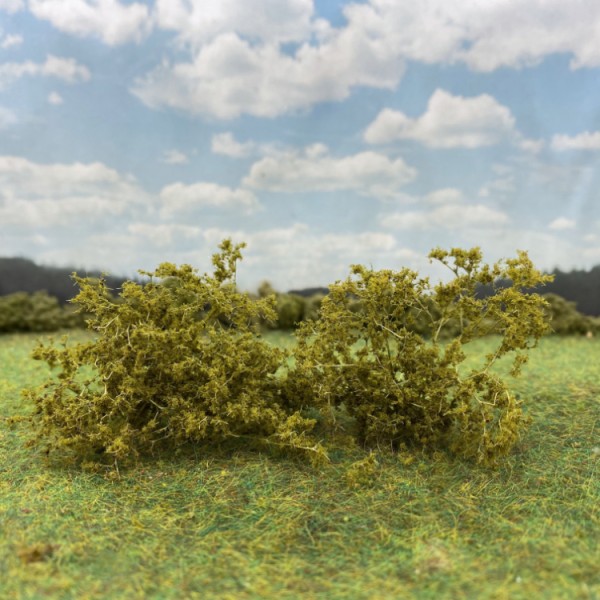 Shrub Bush Thicket Burnt Green 