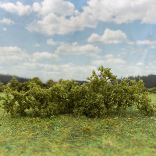 Shrub Bush Thicket Medium Green 