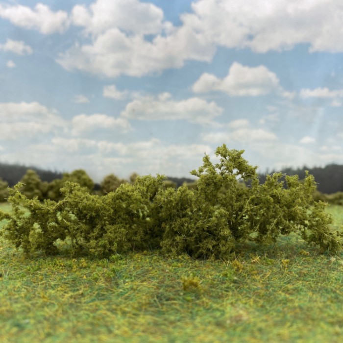 Shrub Bush Thicket Medium Green 