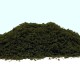 Fine Turf and Foliage Cover Dark Green By Footpath Scenes Fine Turf and Foliage Cover Dark Green By Footpath Scenes