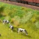 Starter Set for the Trackside Gaugemaster GM1014