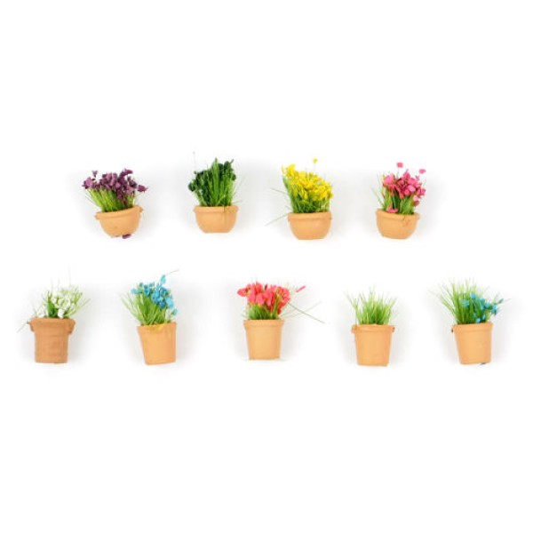 Pot Plants OO 