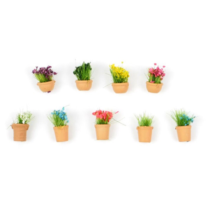 Pot Plants OO Pot Plants OO