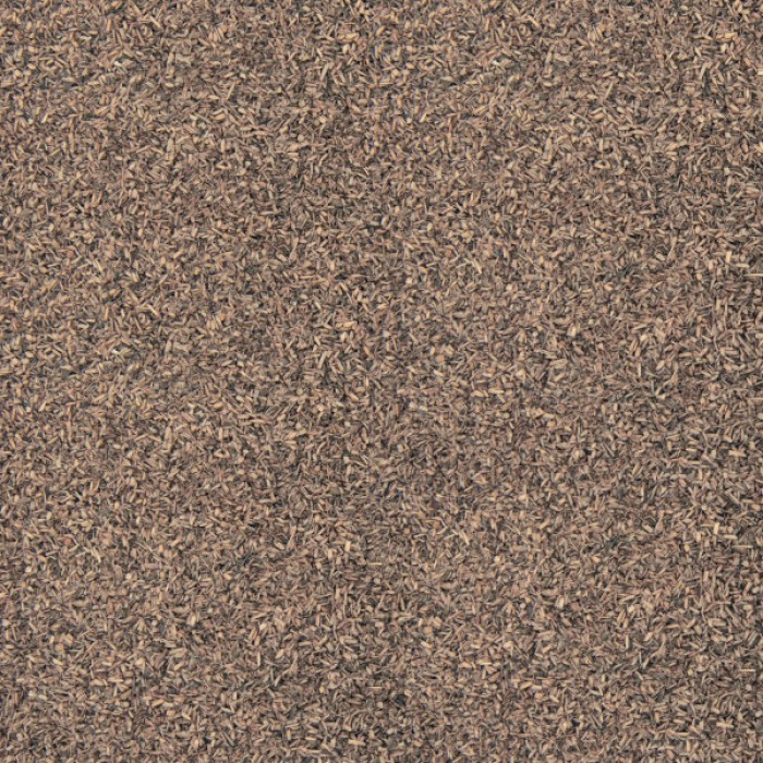 Brown Scatter GM1203