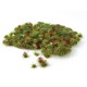 Flower Tufts 250 Bulk Pack Gaugemaster 1645 Flower Tufts 250 Bulk Pack Gaugemaster 1645