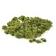 Flower Tufts 250 Bulk Pack Gaugemaster 1646 Flower Tufts 250 Bulk Pack Gaugemaster 1646