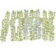 Virginia Creepers OO TT GM1662 Virginia Creepers OO TT GM1662