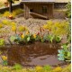 Water and Riverside Plants OO / TT Water and Riverside Plants OO / TT